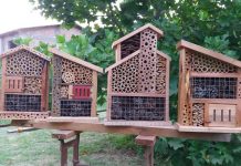 Hotel cobija a insectos para control natural de plagas