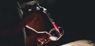 Innovación permitirá detectar la huella genética de los vinos chilenos