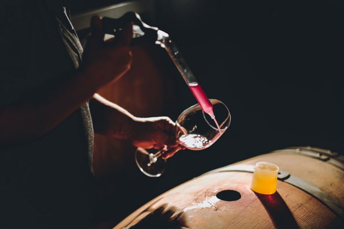 Innovación permitirá detectar la huella genética de los vinos chilenos