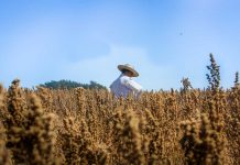 MEJORES OPORTUNIDADES PARA LOS MÁS POBRES DEL CAMPO: INDAP EXPUSO SU ESTRATEGIA EN CUMBRE DE ALCALDES RURALES