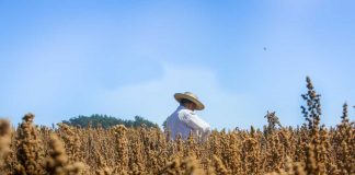 MEJORES OPORTUNIDADES PARA LOS MÁS POBRES DEL CAMPO: INDAP EXPUSO SU ESTRATEGIA EN CUMBRE DE ALCALDES RURALES
