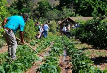 Ministro Walker hace un llamado a no especular con los precios debido al derrumbe en el Canal Las Mercedes