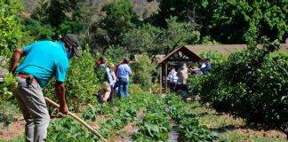 Ministro Walker hace un llamado a no especular con los precios debido al derrumbe en el Canal Las Mercedes