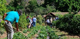 Ministro Walker hace un llamado a no especular con los precios debido al derrumbe en el Canal Las Mercedes