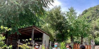 PRODUCTORES DEL PROGRAMA INDÍGENA DE INDAP EN ALTO BIOBÍO SE SUMAN AL RESCATE DEL PATRIMONIO AGRÍCOLA