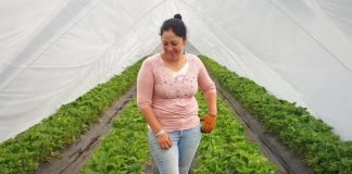 • Programa de Frutales abre nuevas oportunidades en comunas como Tortel y Villa O´Higgins