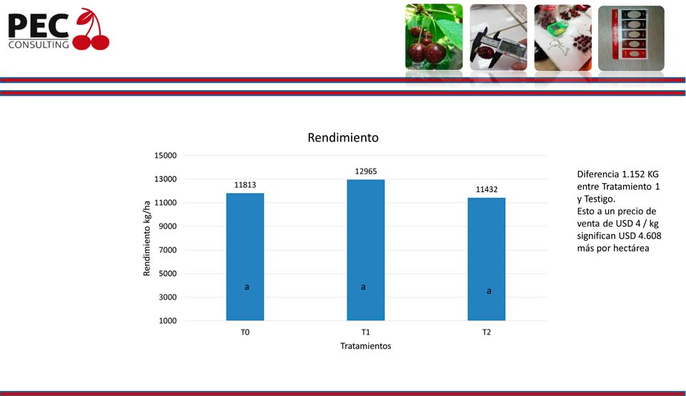 - Portal Agro Chile