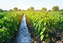 Con “Certificado Azul” empresas contribuirán a la seguridad hídrica del país Con “Certificado Azul” empresas contribuirán a la seguridad hídrica del país