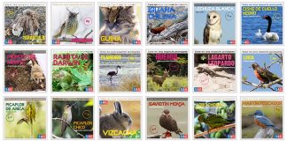 Conoce las especies de fauna silvestre protegidas