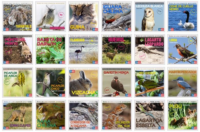 Conoce las especies de fauna silvestre protegidas