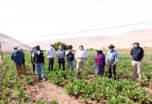 Cooperativa Pampa Concordia de Arica inaugura sala de procesos con apoyo de INDAP