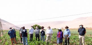 Cooperativa Pampa Concordia de Arica inaugura sala de procesos con apoyo de INDAP