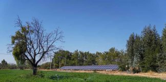 INDAP ABORDA DESAFÍOS 2021 EN RIEGO PARA LA PEQUEÑA AGRICULTURA