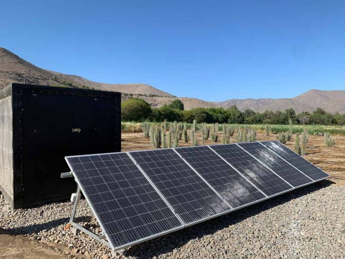 Por rentabilidad agricultores de uvas de mesa reconvierten su producción en pasas de exportación