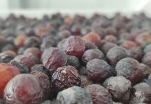 Por rentabilidad agricultores de uvas de mesa reconvierten su producción en pasas de exportación