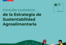 Consulta Ciudadana sobre la Estrategia de Sustentabilidad Agroalimentaria