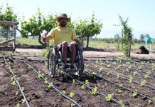 Farm Hability: innovación de joven que abre el campo hacia la inclusión