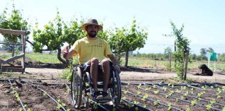 Farm Hability: innovación de joven que abre el campo hacia la inclusión