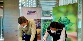 Indap Biobío y CMPC firman convenio para fortalecer el desarrollo productivo de la agricultura campesina