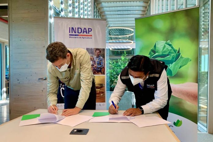 Indap Biobío y CMPC firman convenio para fortalecer el desarrollo productivo de la agricultura campesina