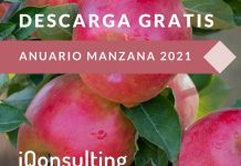 iQonsulting: Descarga gratuita de su Anuario Manzana 2021