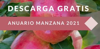 iQonsulting: Descarga gratuita de su Anuario Manzana 2021