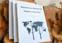 “Principios de ordenación forestal para Chile” Libro propone frenar la destrucción del bosque nativo con sistema de uso sustentable