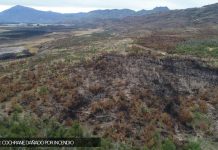SAG hace un llamado a la comunidad extremar medidas de prevención para evitar incendios forestales