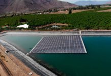 6 beneficios de Incorporar Energía Solar en la Industria Agrícola