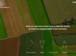 Chile asume vicepresidencia de la Alianza Global de Investigación sobre Gases de Efecto Invernadero