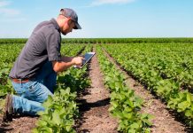 Una startup chilena está entre los ganadores de Agrostart, el fondo concursable de BASF