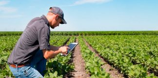 Una startup chilena está entre los ganadores de Agrostart, el fondo concursable de BASF