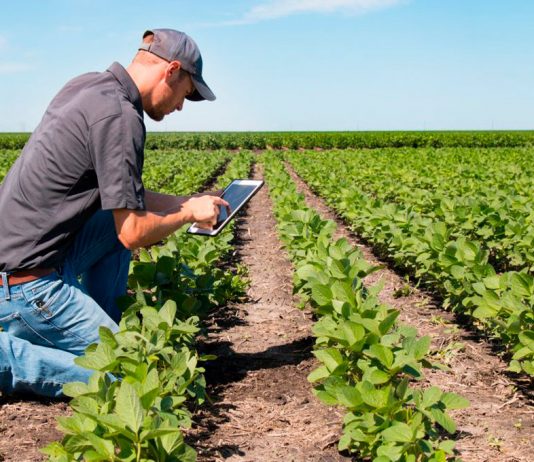 Una startup chilena está entre los ganadores de Agrostart, el fondo concursable de BASF