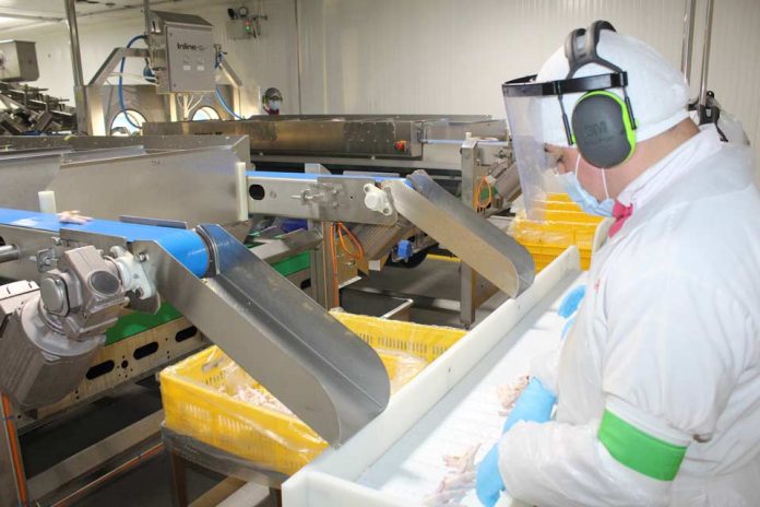 Agrosuper implementa tecnología única en Chile para clasificar garras de pollo