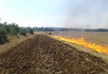 CONAF hace llamado a agricultores a no hacer uso del fuego sin antes registrar sus avisos de quema