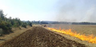 CONAF hace llamado a agricultores a no hacer uso del fuego sin antes registrar sus avisos de quema