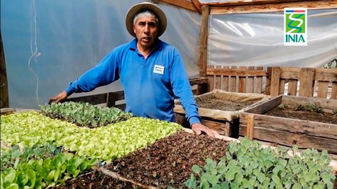 Consejo al agricultor: Ventajas del bocashi