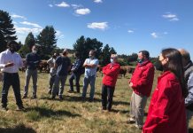 Ganaderos locales posicionan producción de carnes de libre pastoreo por sus atributos saludables y de bienestar animal