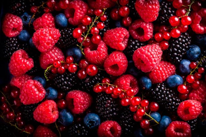 Hortifrut registró una utilidad de la controladora de US$54,02 millones y un EBITDA que alcanza los US$175,13 millones en 2020