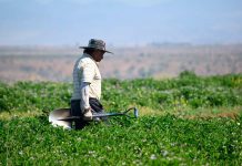 Incorporación de la región de Arica y Parinacota a la cobertura nacional de predios rurales