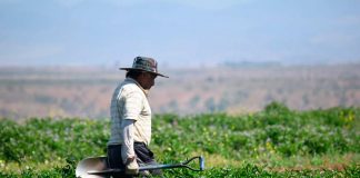 Incorporación de la región de Arica y Parinacota a la cobertura nacional de predios rurales