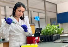 Investigadora chilena desarrolla innovador sistema de PCR para identificación genética de frutales en tiempo récord