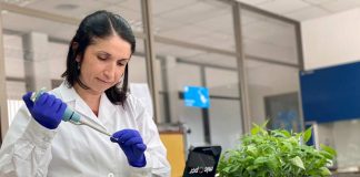 Investigadora chilena desarrolla innovador sistema de PCR para identificación genética de frutales en tiempo récord