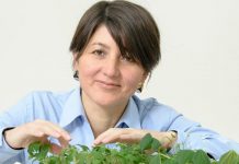 Investigadora de INIA obtuvo segundo lugar en Premio Científico Innovador 2020