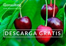 iQonsulting: Descarga gratuita de su Anuario Cereza 2020-2021