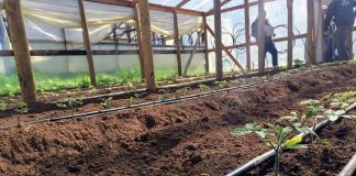 minagri-y-cnr-buscan-potenciar-el-riego-en-la-pequena-agricultura-de-biobio