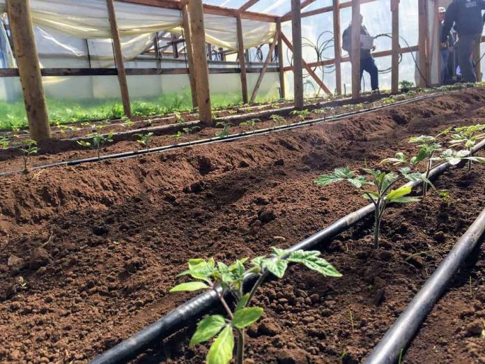 minagri-y-cnr-buscan-potenciar-el-riego-en-la-pequena-agricultura-de-biobio