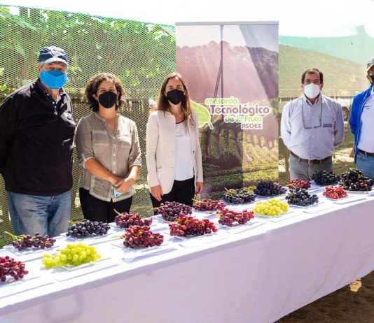 Ministra de Agricultura destacó el trabajo del Consorcio Tecnológico de la Fruta de ASOEX para el desarrollo de frutas 100% chilenas