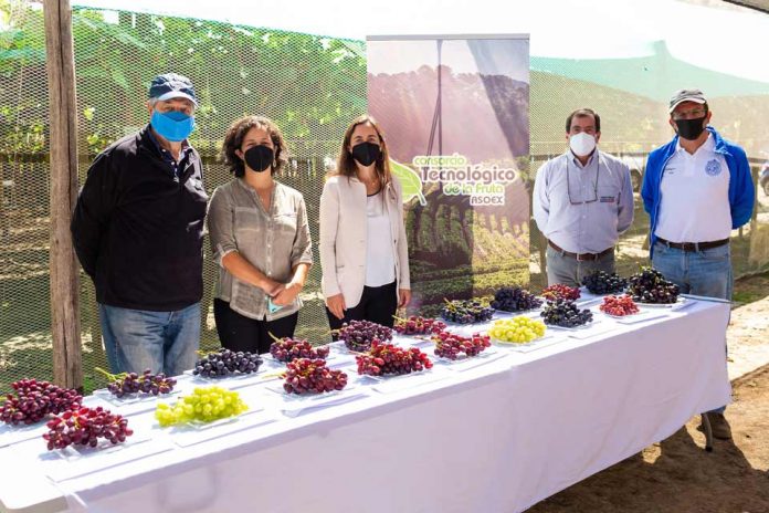 Ministra de Agricultura destacó el trabajo del Consorcio Tecnológico de la Fruta de ASOEX para el desarrollo de frutas 100% chilenas