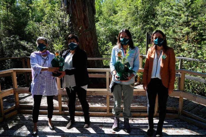 Ministra Undurraga lanza proyecto + Bosques para la gestión sustentable de más de 25 mil hectáreas de bosque nativo en Chile